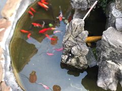 -金必轩(青岩店)