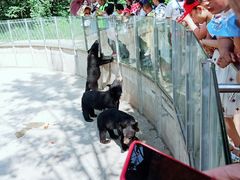 -西安秦岭野生动物园