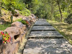 -广州白江湖森林公园