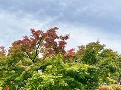 -天龙寺