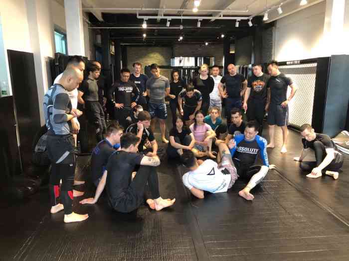 学了巴西柔术一段时间了去过几个馆觉得absolutemma最适合我每周有5节