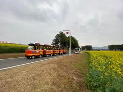 -光明小镇欢乐田园