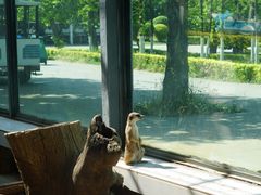 -西安秦岭野生动物园