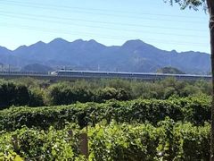 -北京张裕爱斐堡酒庄