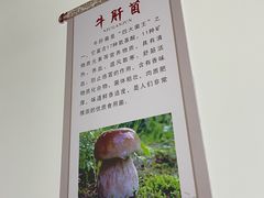 -野菌王•养生汤锅•野生菌火锅(大理漾濞路店)