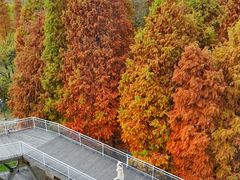 -溱湖国家湿地公园