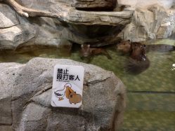 -Zoolung Zoolung动物主题公园(海信广场店)