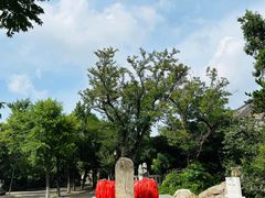 -云龙山