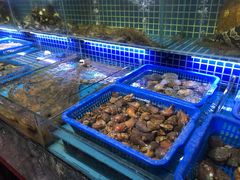水产区-必点海鲜·鲅鱼水饺(鞍山西道店)