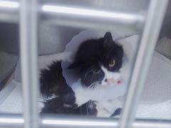 -宠颐生中康贝怡动物医院