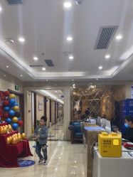 -碧莲盛·不剃发植发