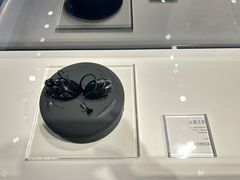 -BLACKSWAN黑天鹅(环球店)