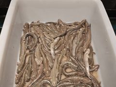 -甬上名灶(天一阁·翠柏店)