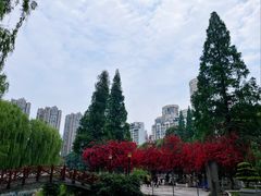 -温江公园