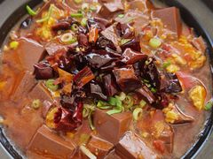 油泼脑花烧鸭血-听香·678茶铺(猛追湾店)