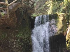 -青城山