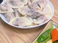 -白记饺子馆多伦道店