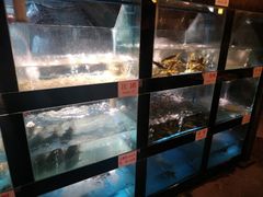 大堂-院8里·少城记忆老川菜(宽窄巷子店)