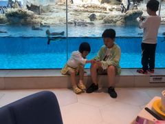 -帝企鹅自助餐厅•儿童岛•真企鹅(长隆企鹅酒店)