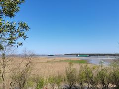 -上海吴淞炮台湾国家湿地公园