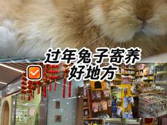 -宠物兔专门店(天丰利市场店)