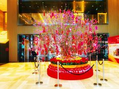 -珠海中海雅高铂尔曼酒店