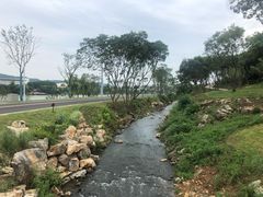 -羊山湖公园