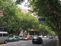 -北京王府井烤鸭(泰兴店)