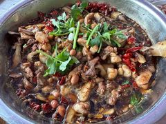 -食神又名厕所兔