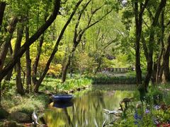 -上海共青森林公园