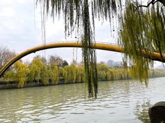 -润和祥小砵头甜酒酿