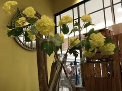 -花蒲甜品(海信广场店)