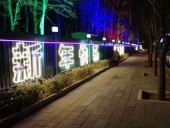 -枫花园汽车电影院(朝阳公园店)
