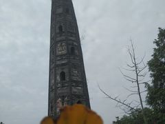 -上海佘山国家森林公园天马山园