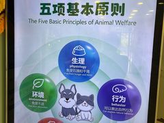 -悦宠凯宝动物医院·牙科·皮肤科(朝阳北路店)
