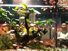 -大家乐(佛山南海店)