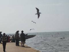 -呈贡滇池生态湿地公园
