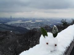 -紫金山山顶公园