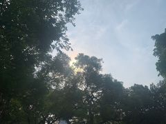 -晓港公园