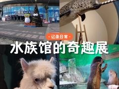 -重庆欢乐海底世界