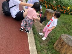 -黄龙溪欢乐田园