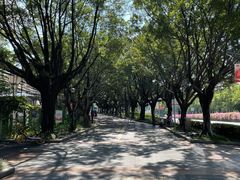 -广州逸林假日酒店·四季桃源中餐厅(白云山风景区店)