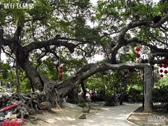 -小洲村