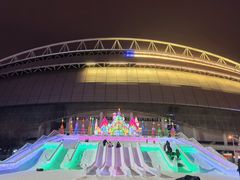 -沈阳奥体冰雪嘉年华