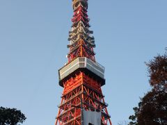 -东京塔海贼王主题公园