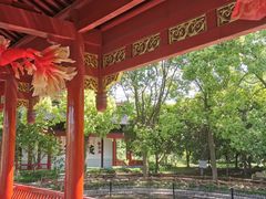 -南汇桃花村