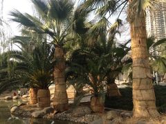 iphone_upload_pic-苏州河梦清园环保主题公园