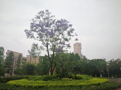 -福州大学(旗山校区)