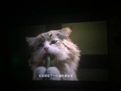 -纵横国际影城杜比全景声巨幕(天安云谷店)