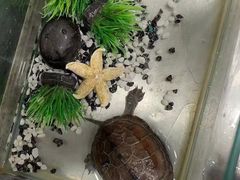 -爱佳宠物中心医院24H·CT·骨外科·猫专科(瑶海万达店)